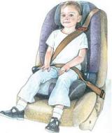 Children Often Not Restrained