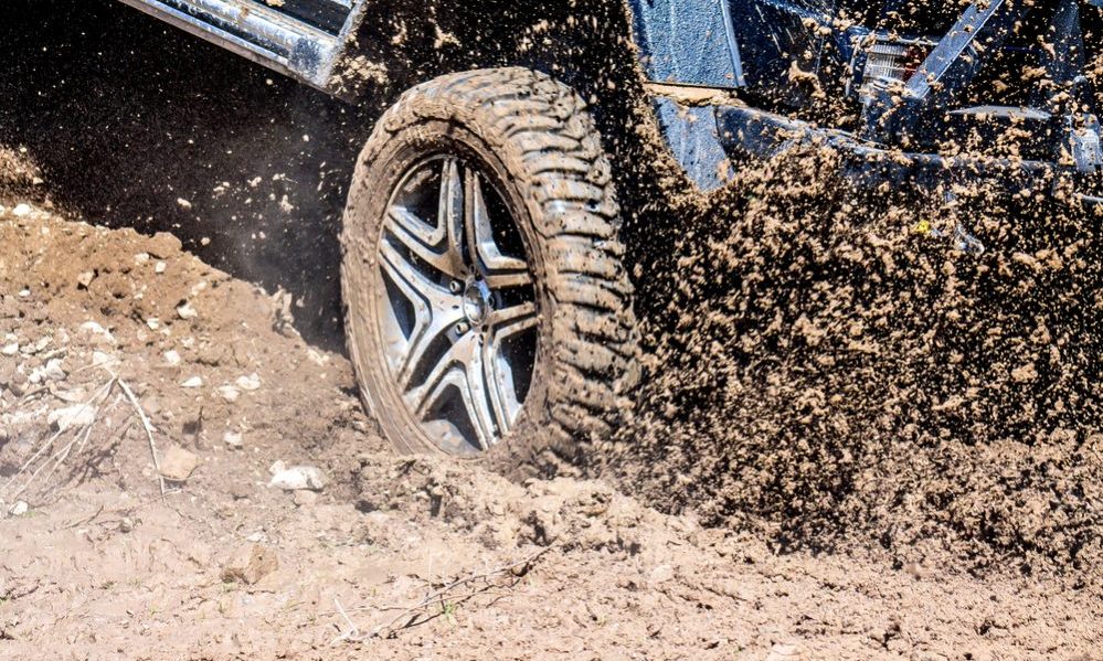 Best Mud Tire reviews