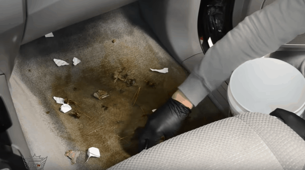 4 Best Ways to Clean Car Carpet